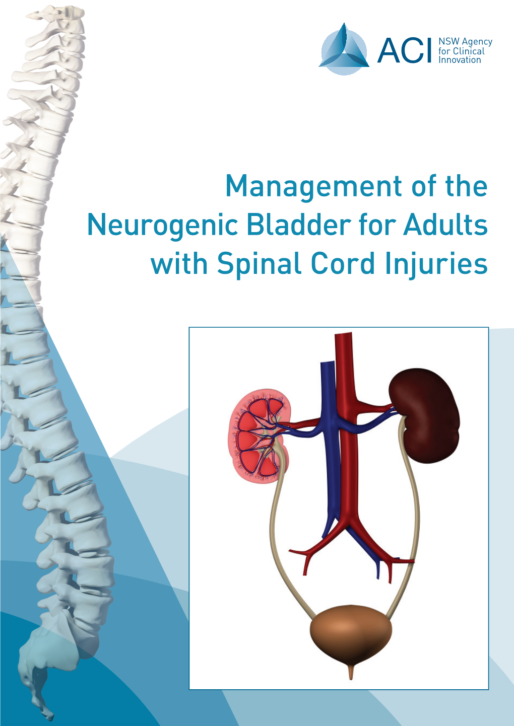 Management of the Neurogenic Bladder for Adults with Spinal Cord