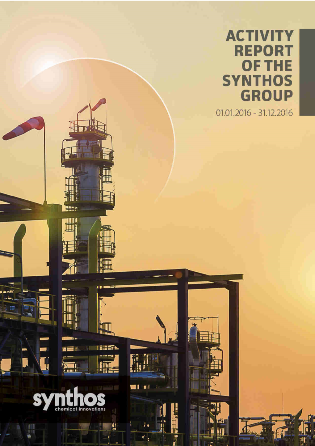 Activity Report of the Synthos Group