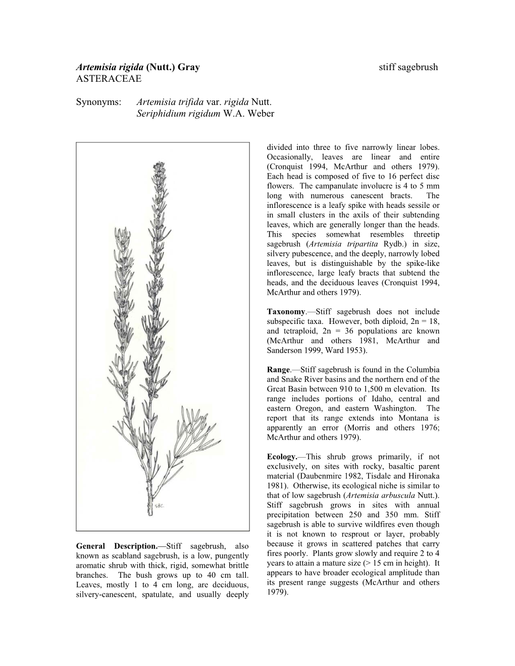 Artemisia Rigida (Nutt.) Gray Stiff Sagebrush ASTERACEAE