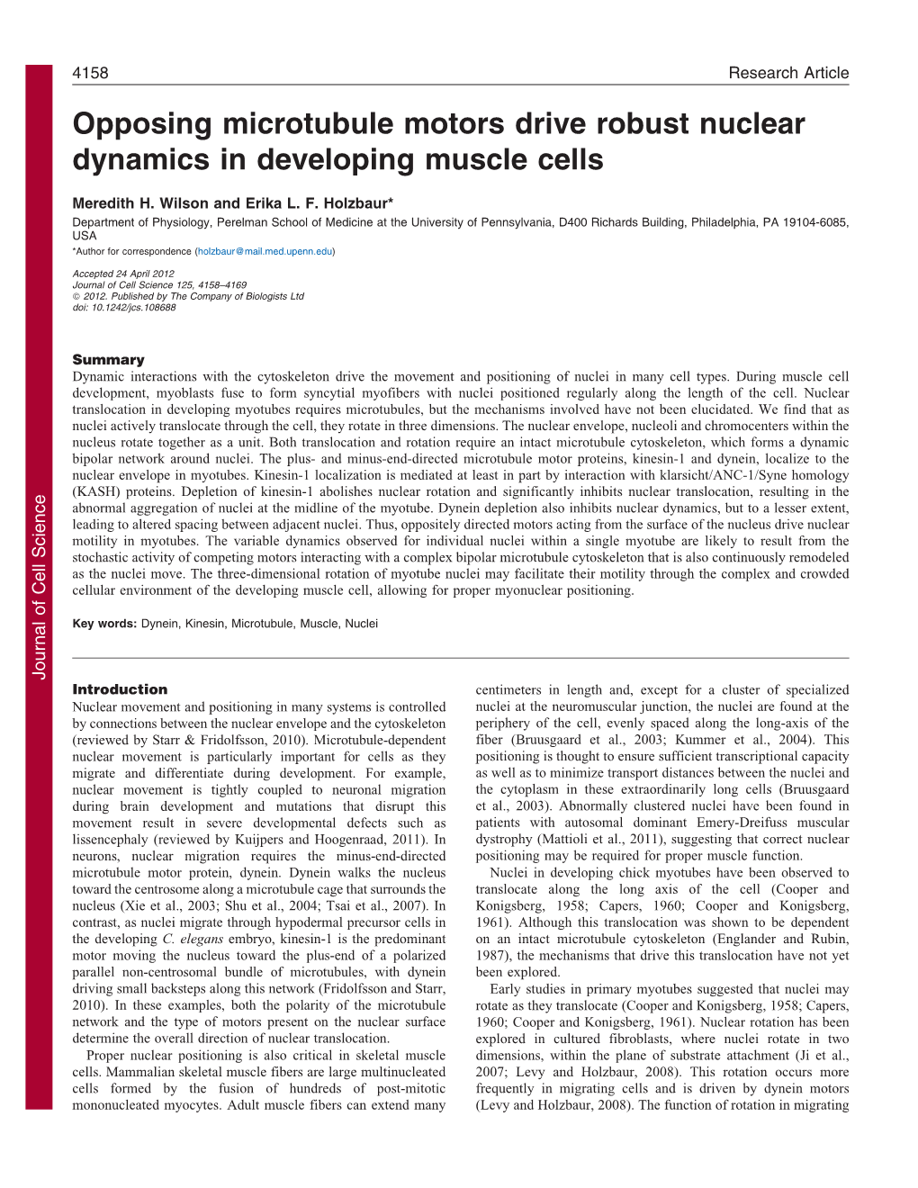 Opposing Microtubule Motors Drive Robust Nuclear Dynamics In