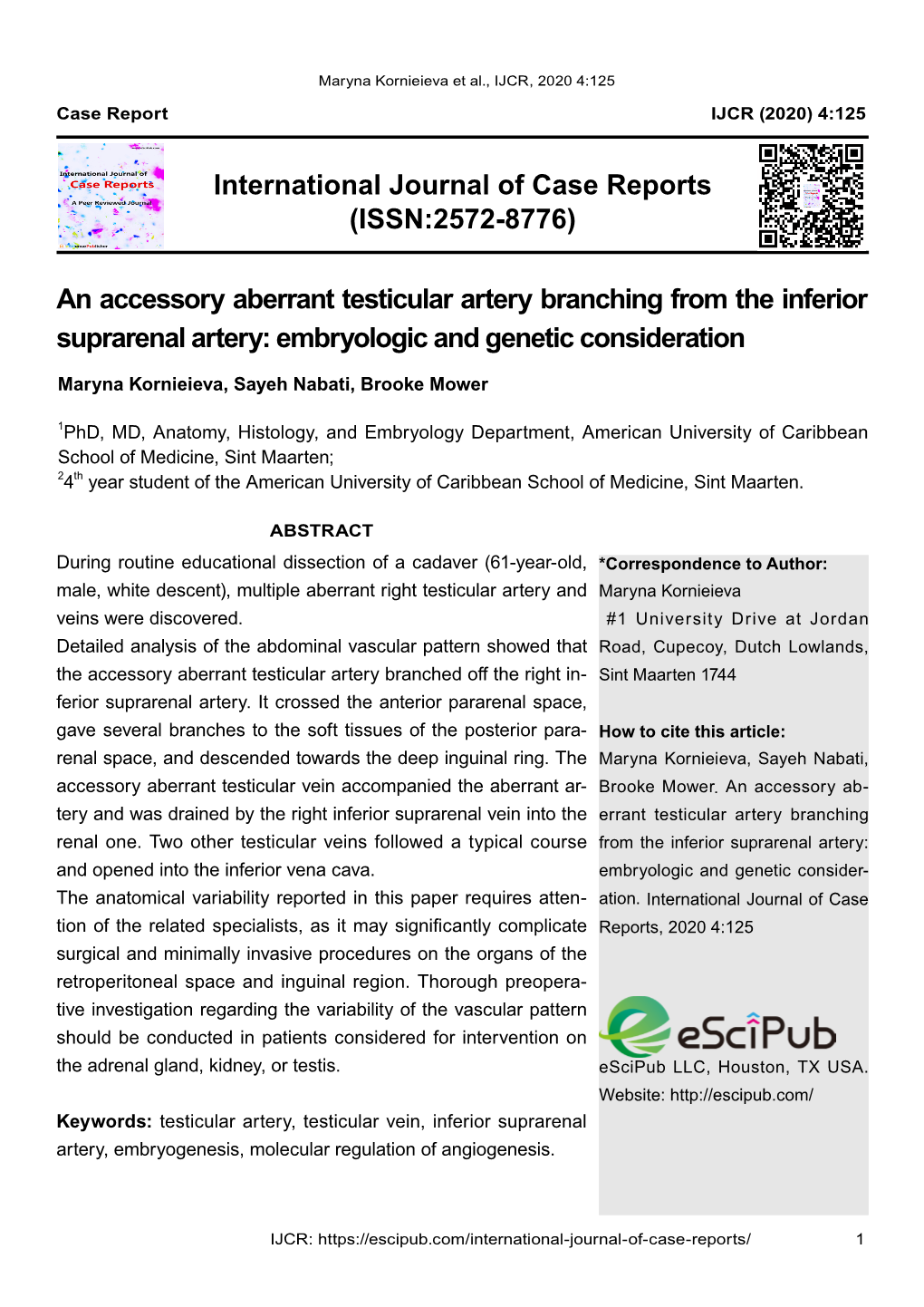 An Accessory Aberrant Testicular Artery Branching from the Inferior Suprarenal Artery: Embryologic and Genetic Consideration