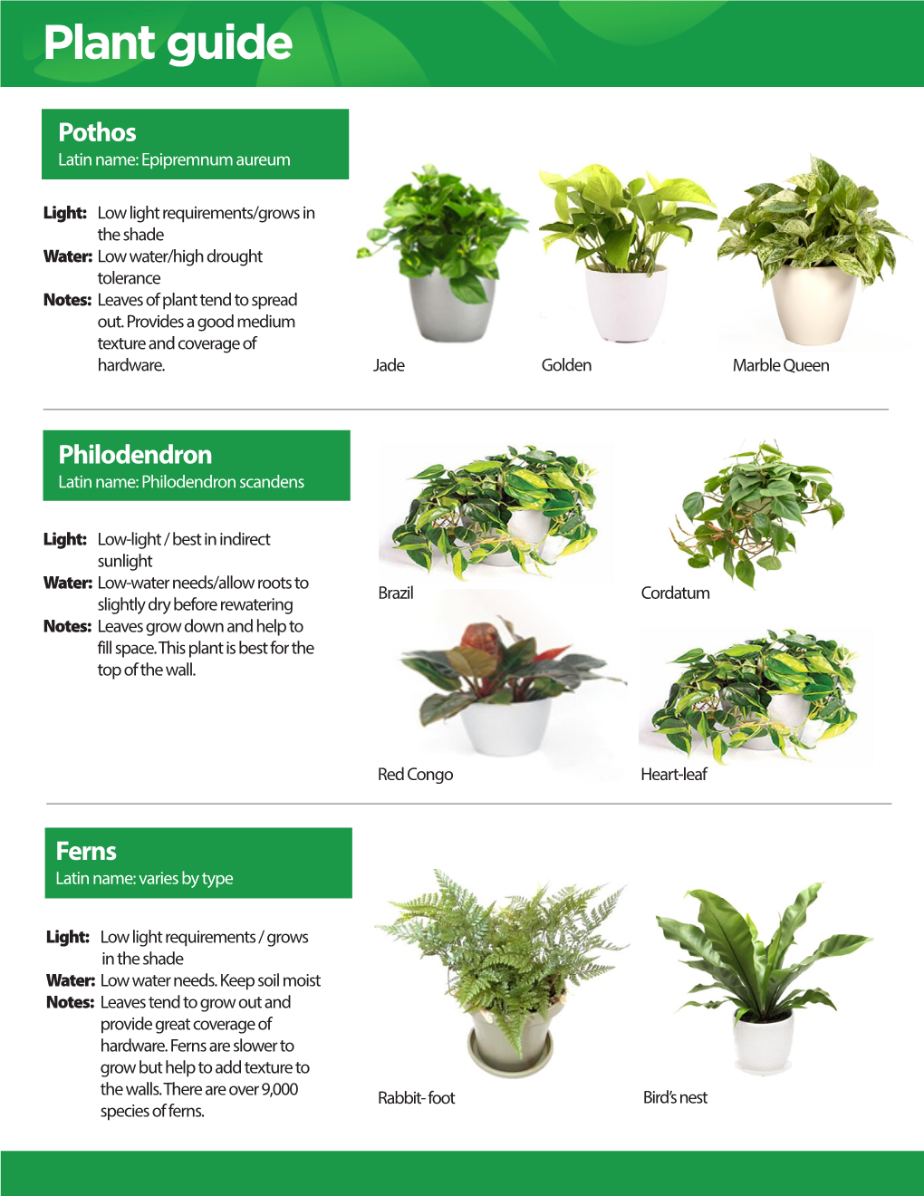 Indoor-Plant-Guide.Pdf