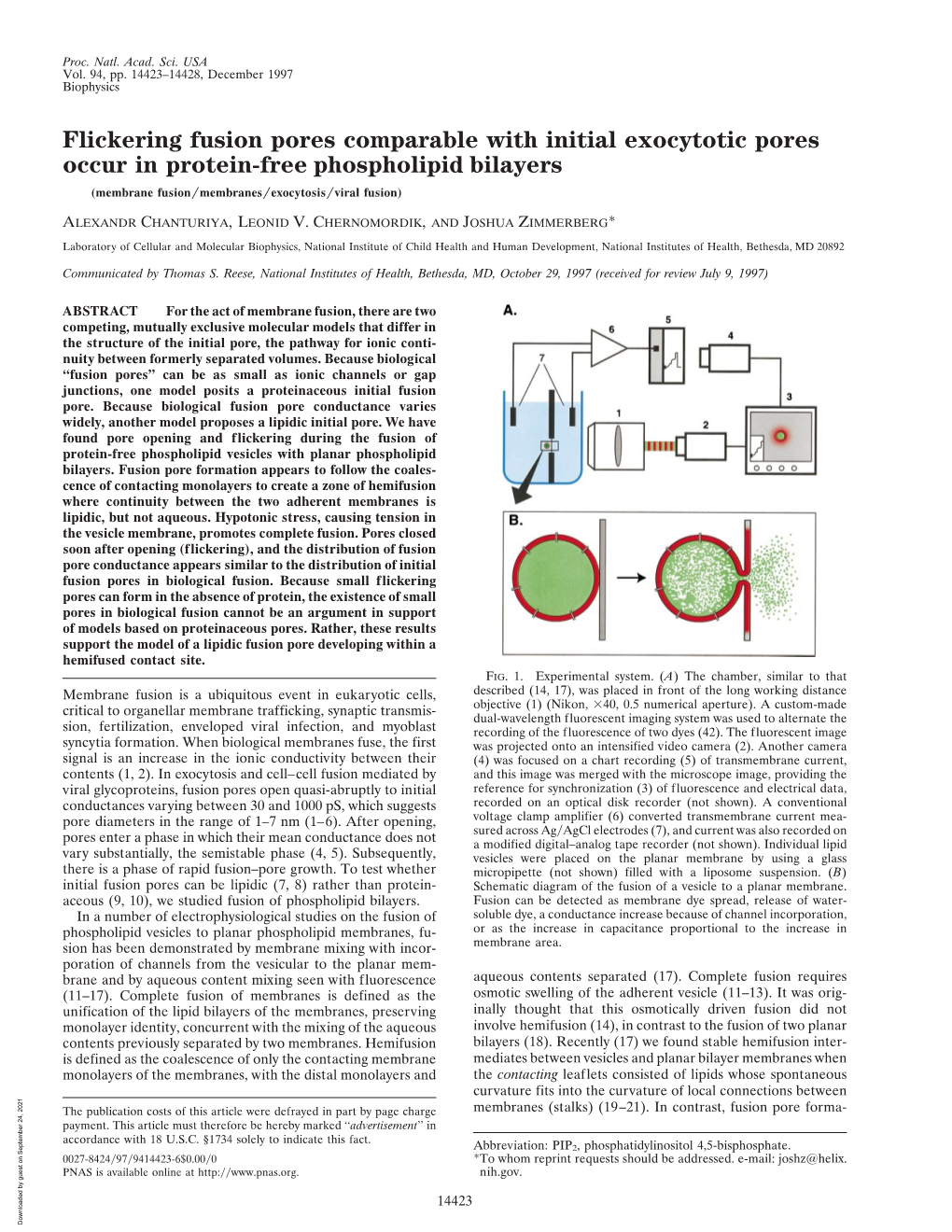 Flickering Fusion Pores Comparable with Initial Exocytotic Pores Occur in Protein-Free Phospholipid Bilayers (Membrane Fusion͞membranes͞exocytosis͞viral Fusion)
