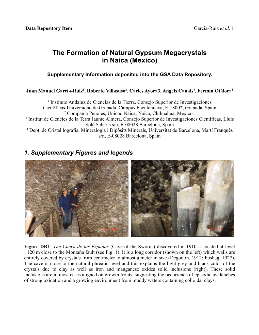 The Formation of Natural Gypsum Megacrystals in Naica (Mexico)