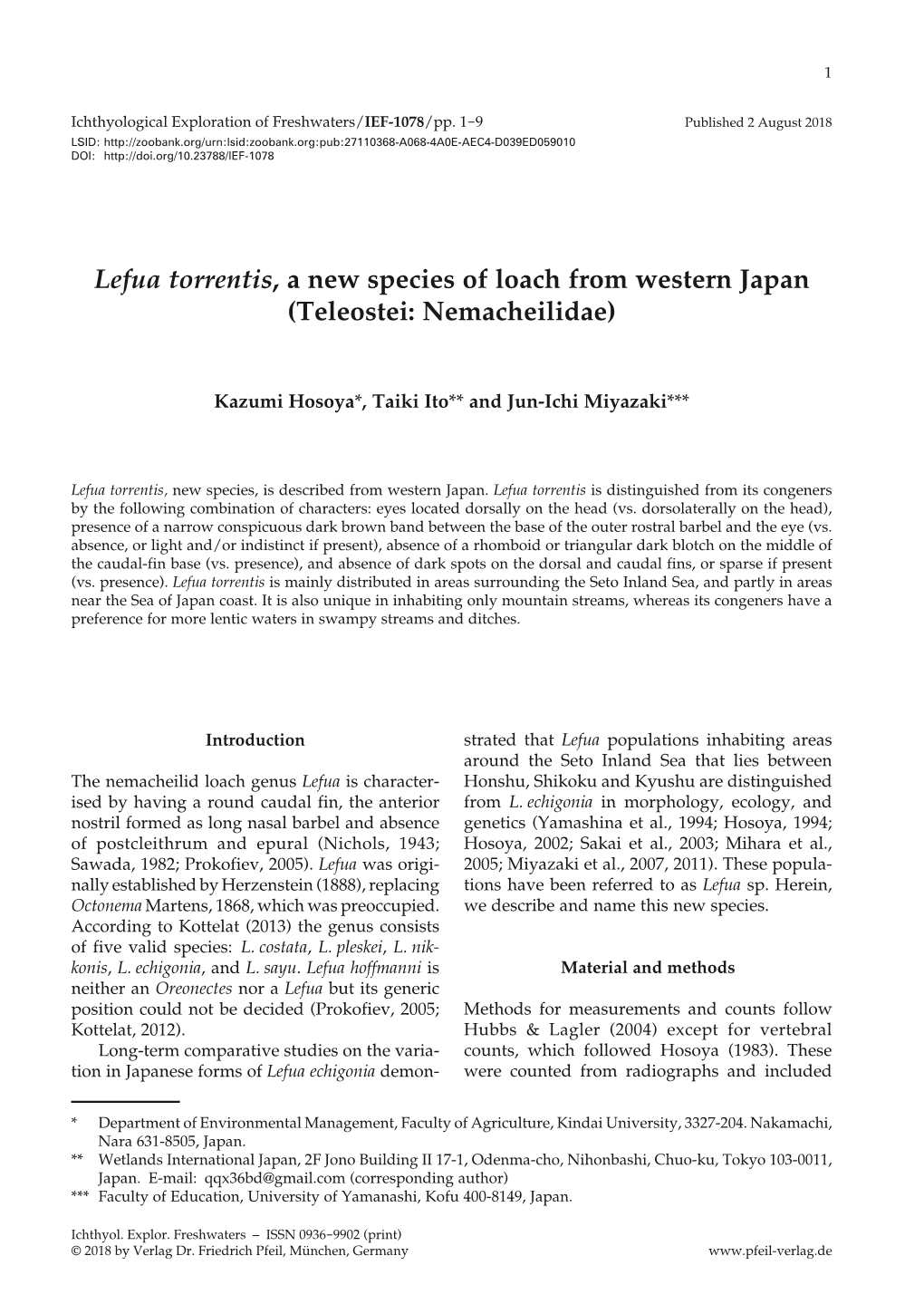 Lefua Torrentis, a New Species of Loach from Western Japan (Teleostei: Nemacheilidae)