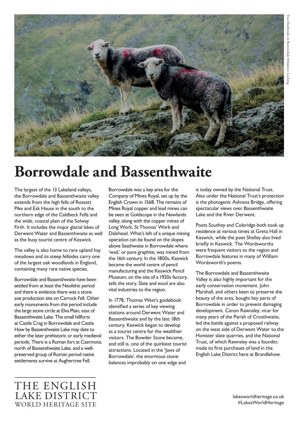 Borrowdale and Bassenthwaite