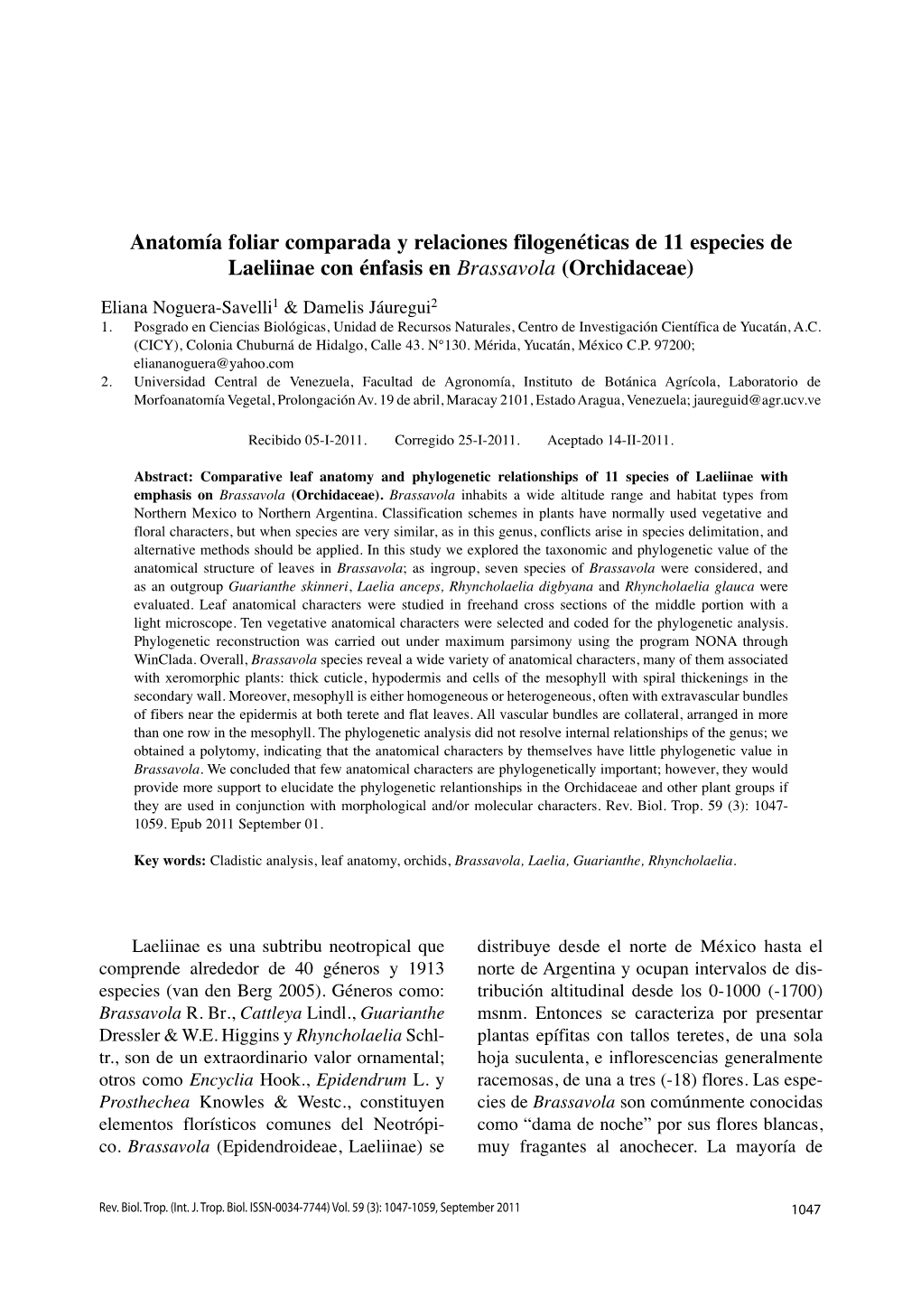 Anatomía Foliar Comparada Y Relaciones Filogenéticas De 11 Especies De Laeliinae Con Énfasis En Brassavola (Orchidaceae)