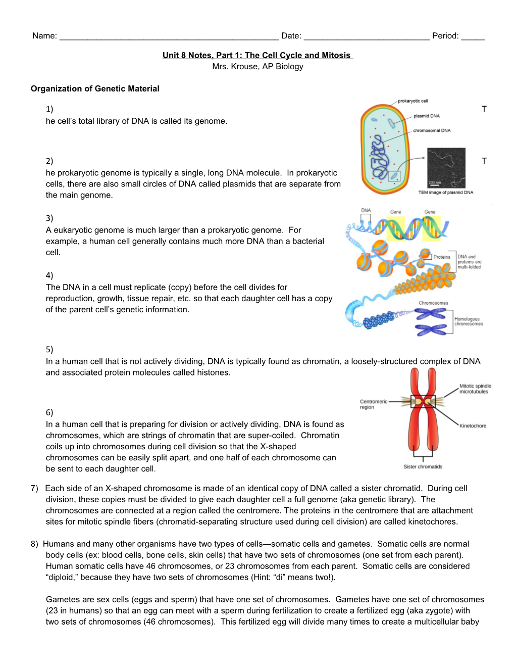 Unit 8 Notes, Part 1: the Cell Cycle and Mitosis