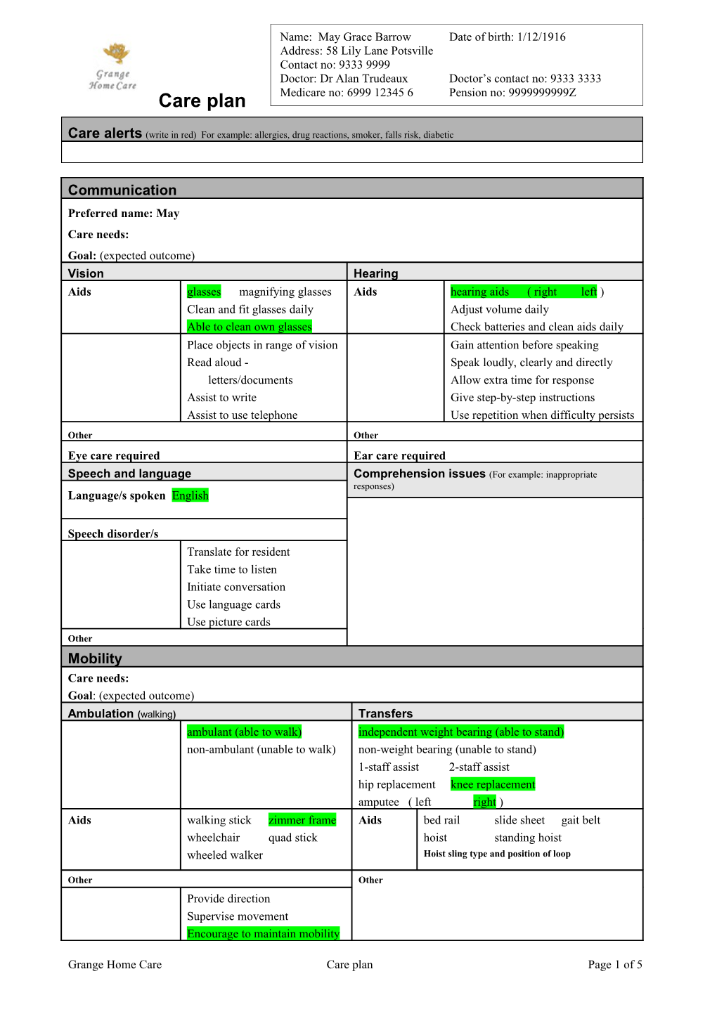 Care Plan Template