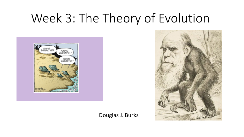 The Theory of Evolution