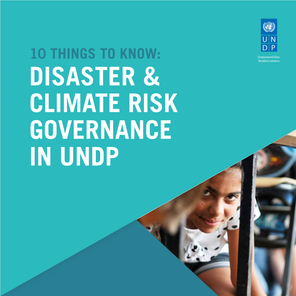 Disaster & Climate Risk Governance in Undp