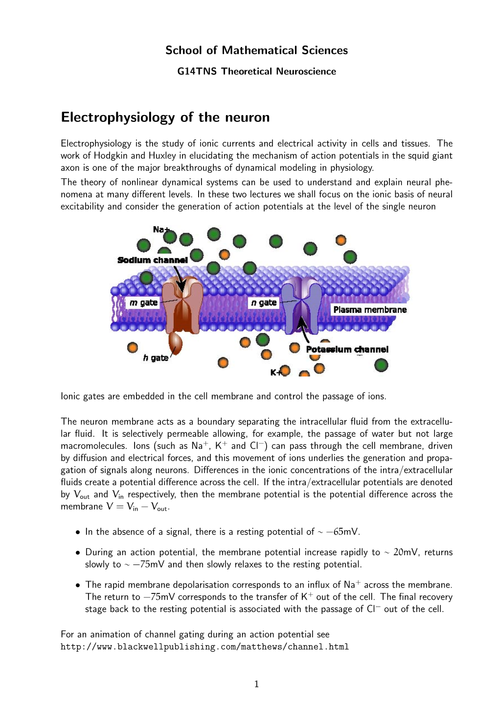 Electrophysiology of the Neuron