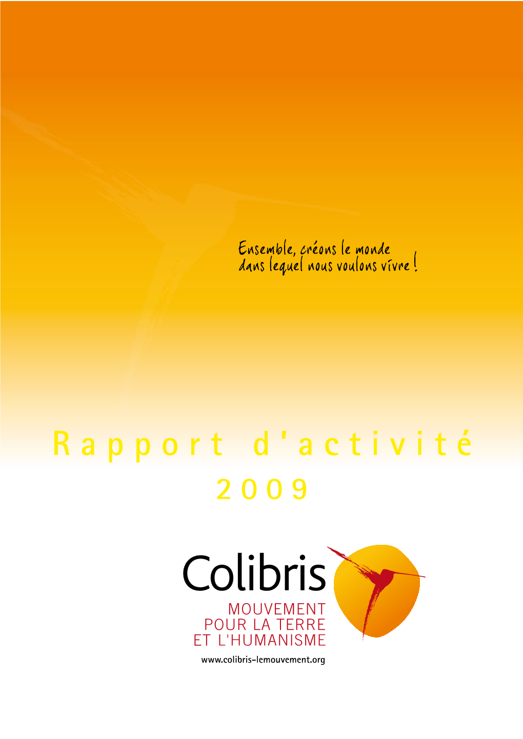 Rapport D'activité