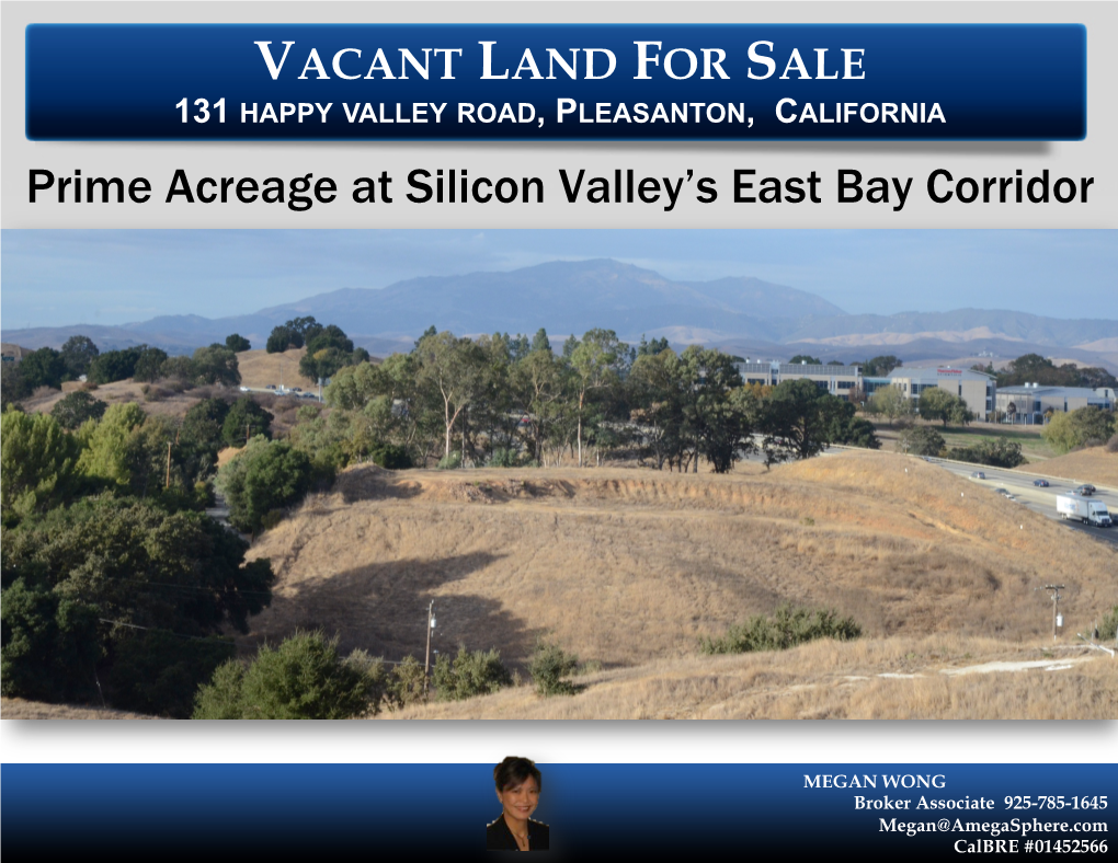 MEGAN WONG Broker Associate 925-785-1645 Megan@Amegasphere.Com Calbre #01452566 VACANT LAND for SALE 131 HAPPY VALLEY ROAD, PLEASANTON, CALIFORNIA Executive Summary