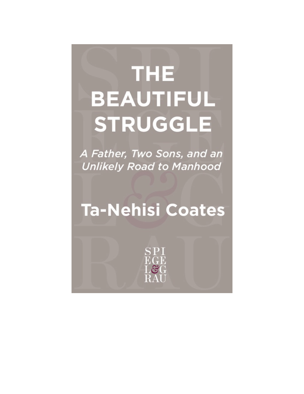 The Beautiful Struggle: a Father, Two Sons, And