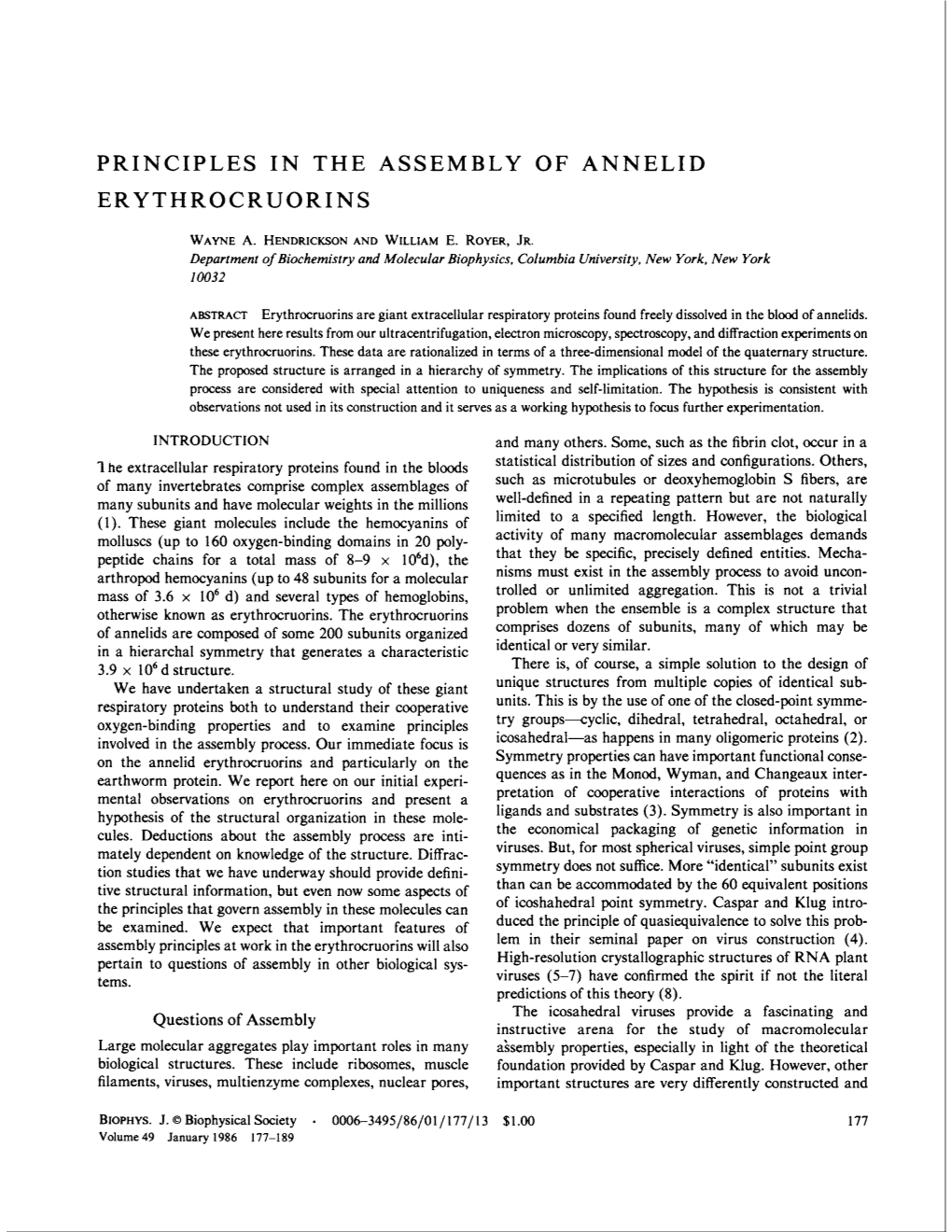 Principles in the Assembly of Annelid Erythrocruorins