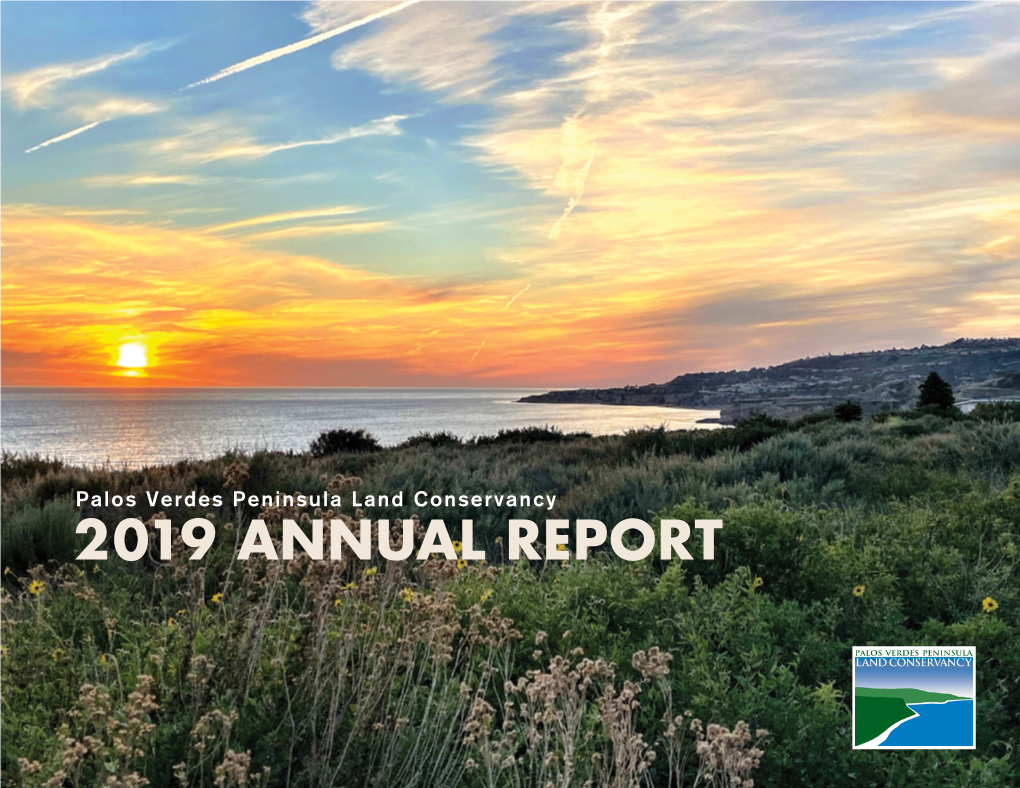 2019 Annual Report