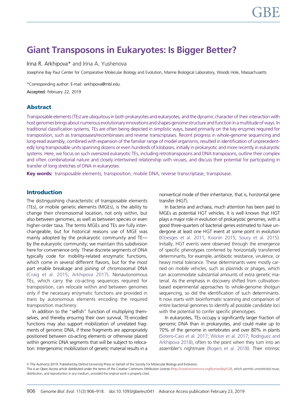 Giant Transposons in Eukaryotes: Is Bigger Better?