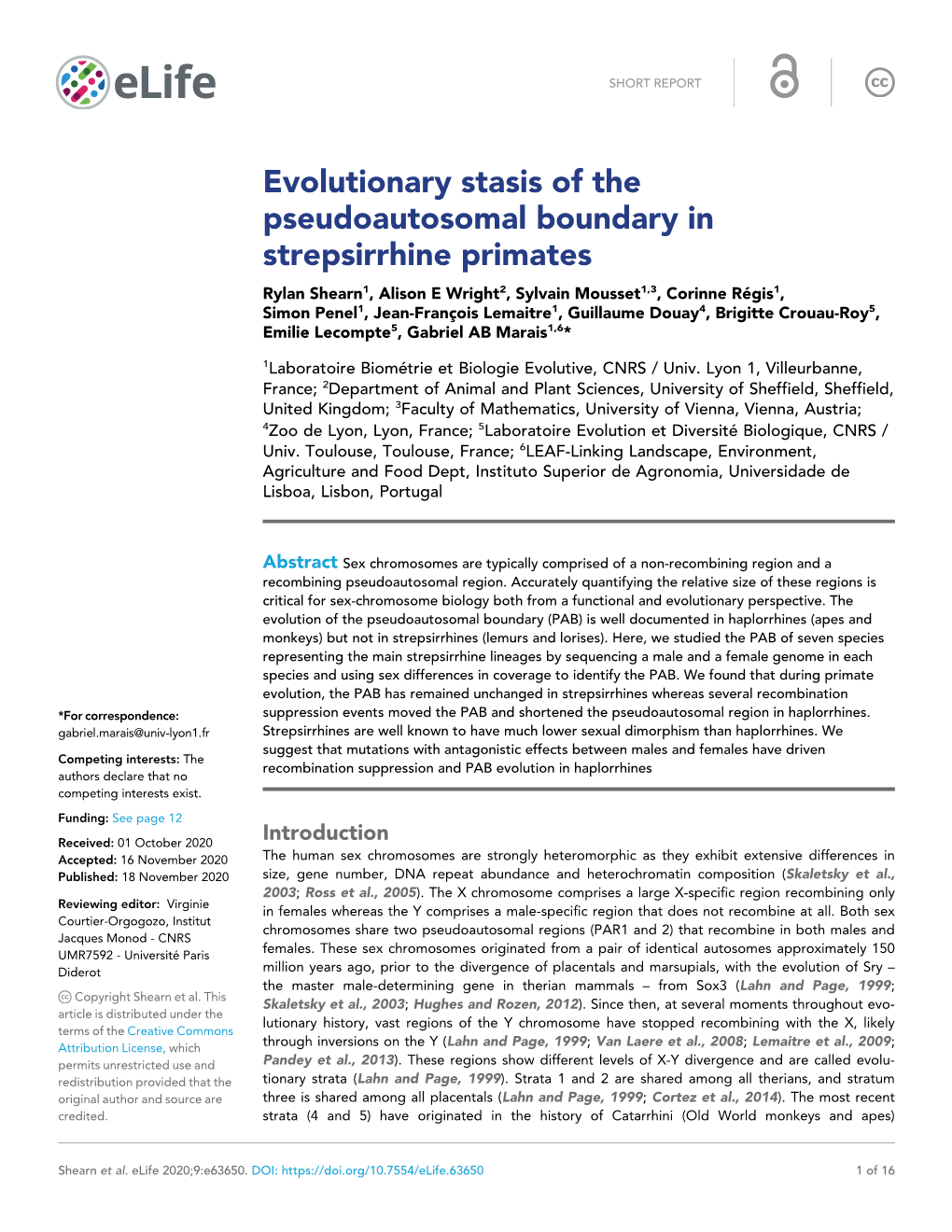 Evolutionary Stasis of the Pseudoautosomal Boundary