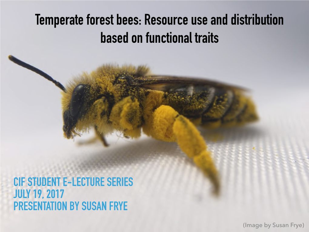 Temperate Forest Bees: Resource Use and Distribution Based on Functional Traits