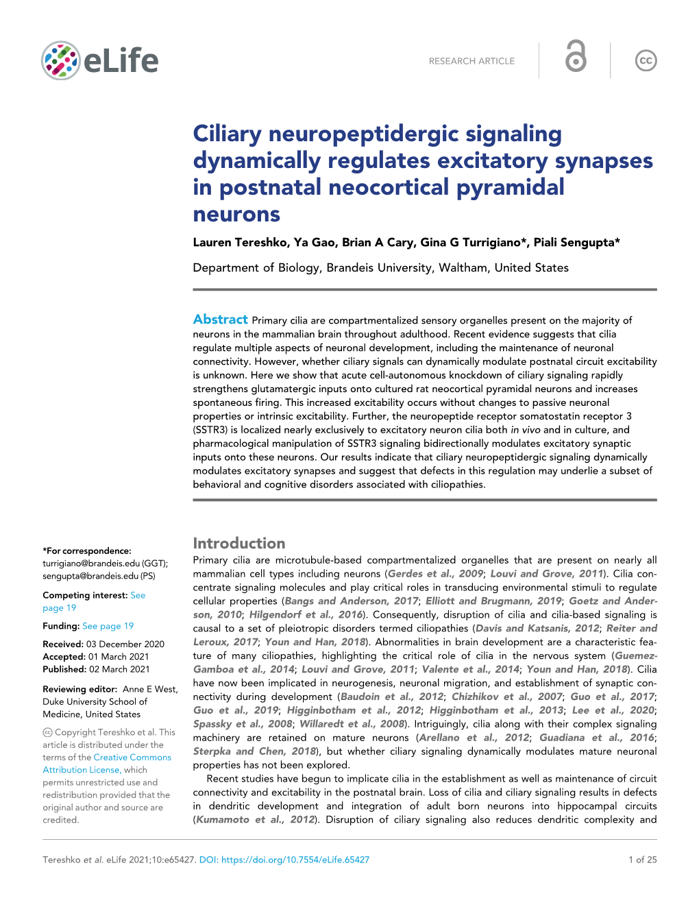Ciliary Neuropeptidergic Signaling Dynamically Regulates Excitatory