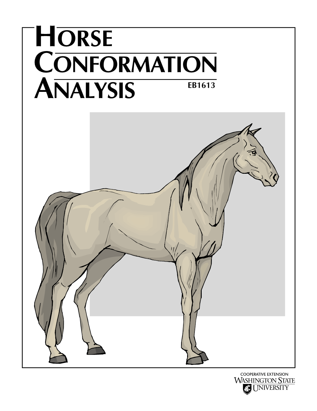 Horse Conformation Analysis Eb1613