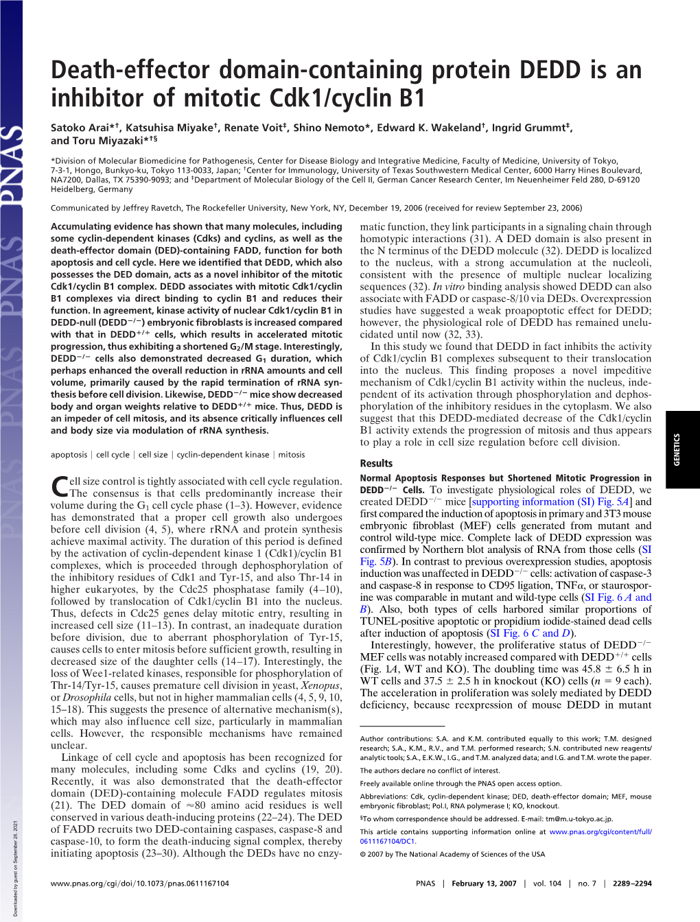 Death-Effector Domain-Containing Protein DEDD Is an Inhibitor of Mitotic Cdk1/Cyclin B1