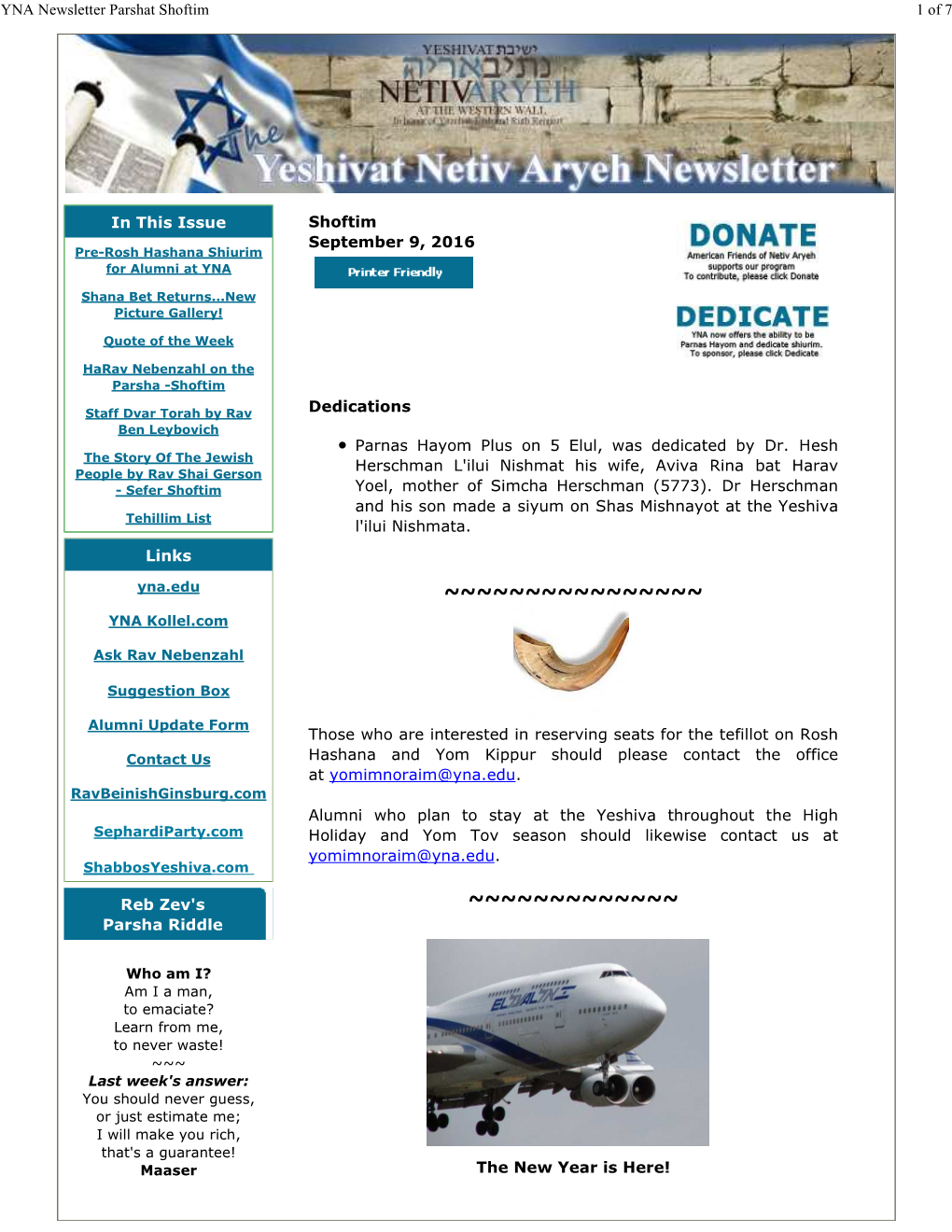 YNA Newsletter Parshat Shoftim 1 of 7