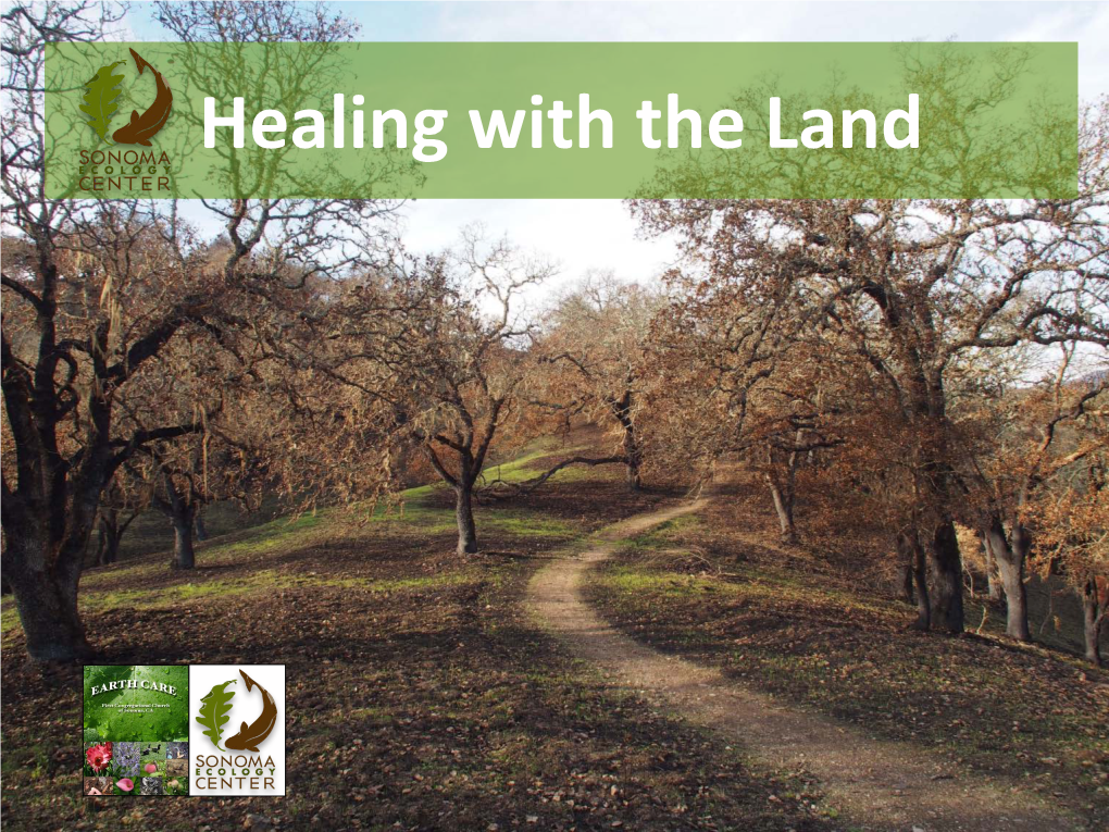 Healing with the Land Community Forumv2-Rfs