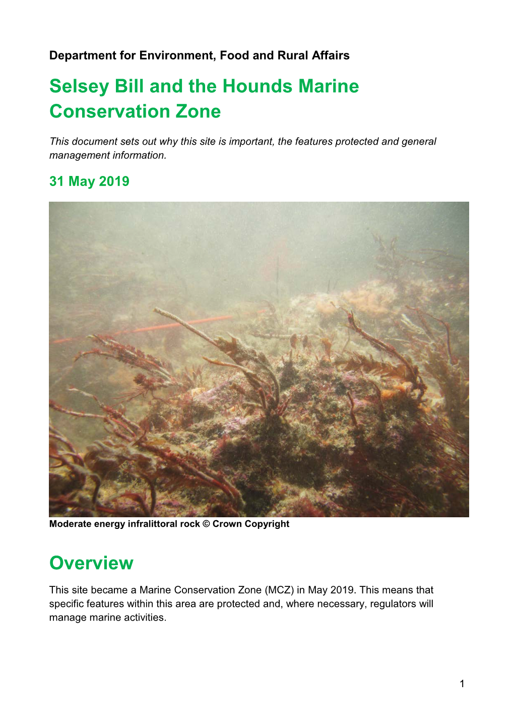 Selsey Bill and the Hounds Marine Conservation Zone Factsheet