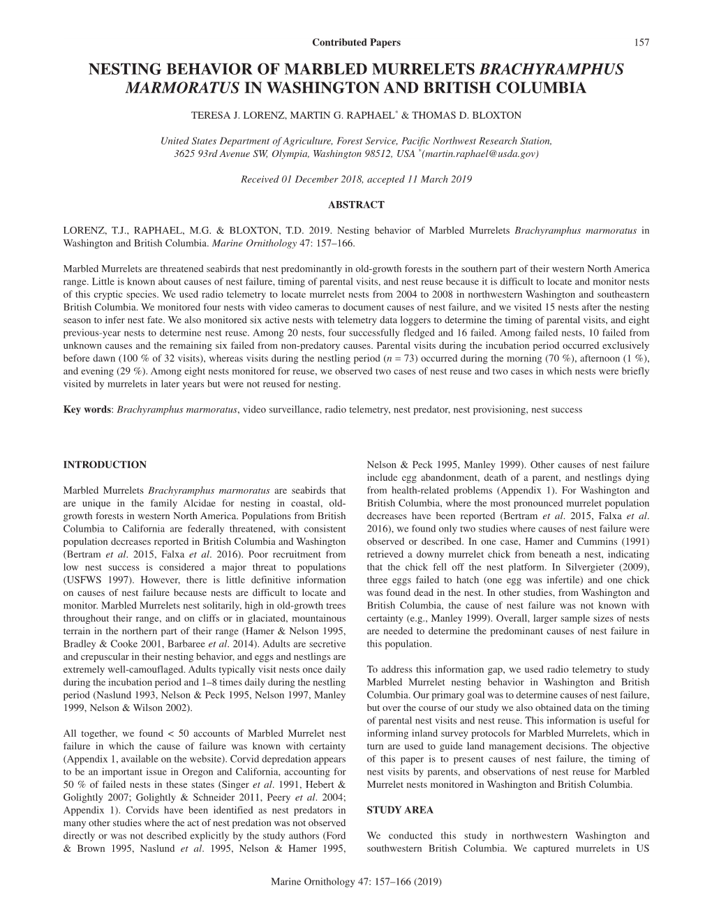 Nesting Behavior of Marbled Murrelets Brachyramphus Marmoratus in Washington and British Columbia