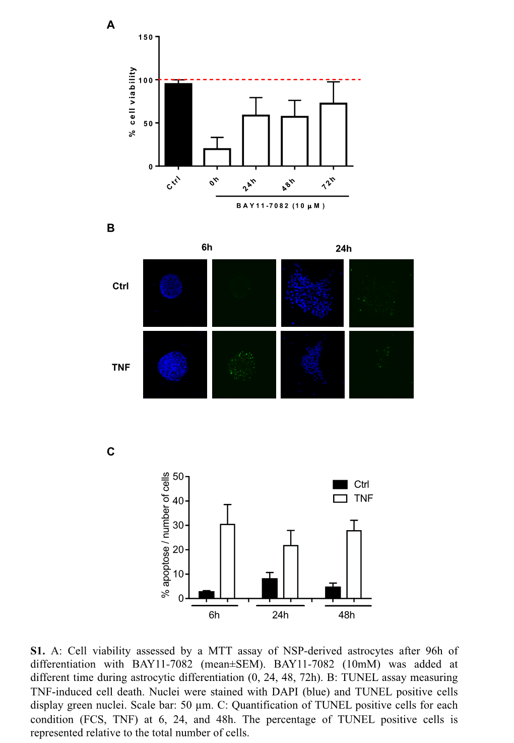 Supplemental Data Revised Manuscript Cells