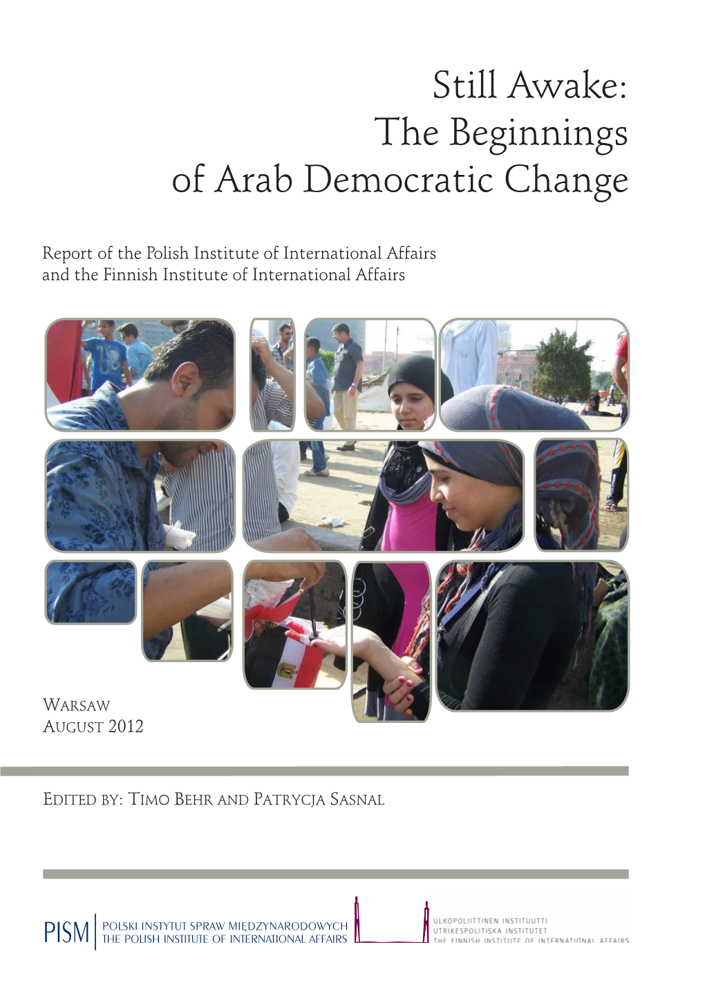 Still Awake: the Beginnings of Arab Democratic Change