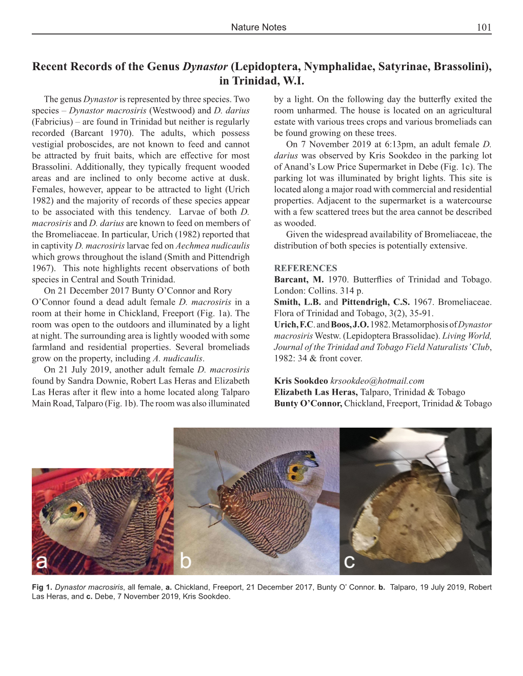 Recent Records of the Genus Dynastor (Lepidoptera, Nymphalidae, Satyrinae, Brassolini), in Trinidad, W.I