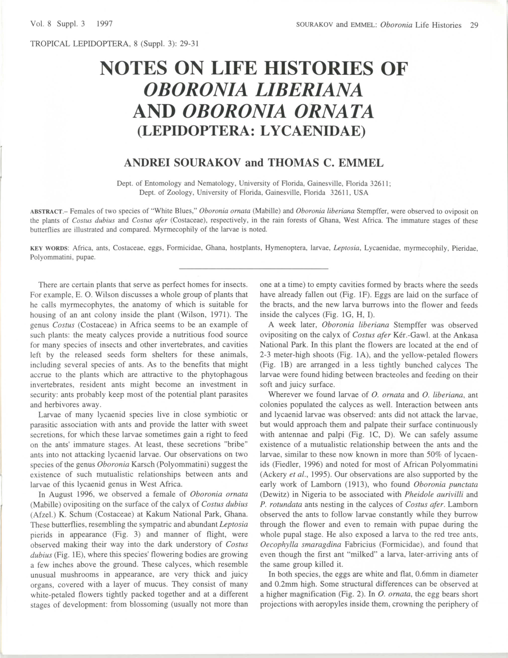 Notes on Life Histories of Oboronia Liberiana and Oboronia Ornata (Lepidoptera: Lycaenidae)