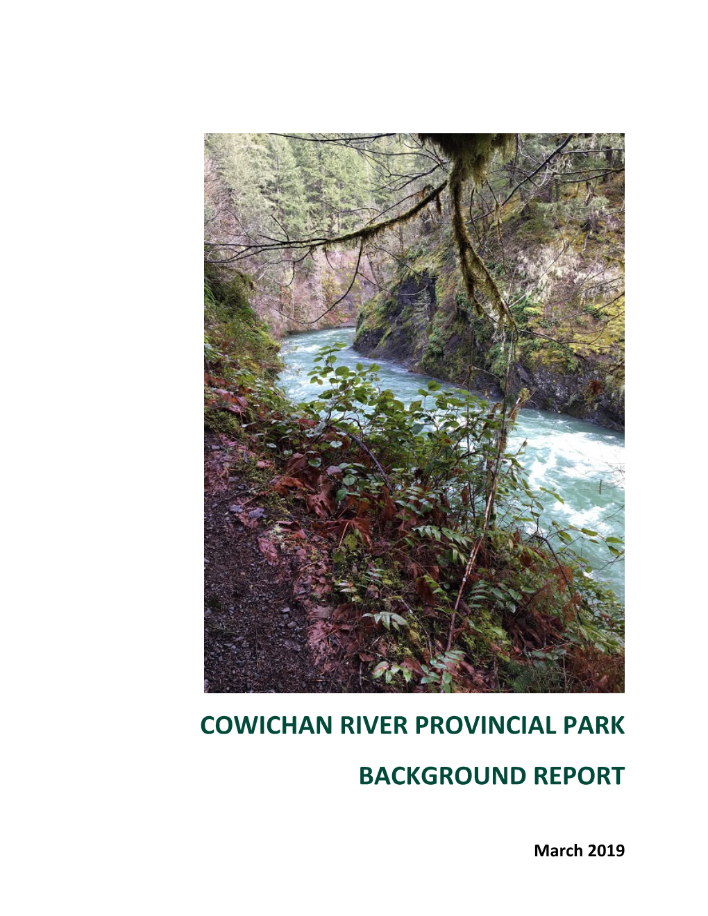 Cowichan River Provincial Park Background Report