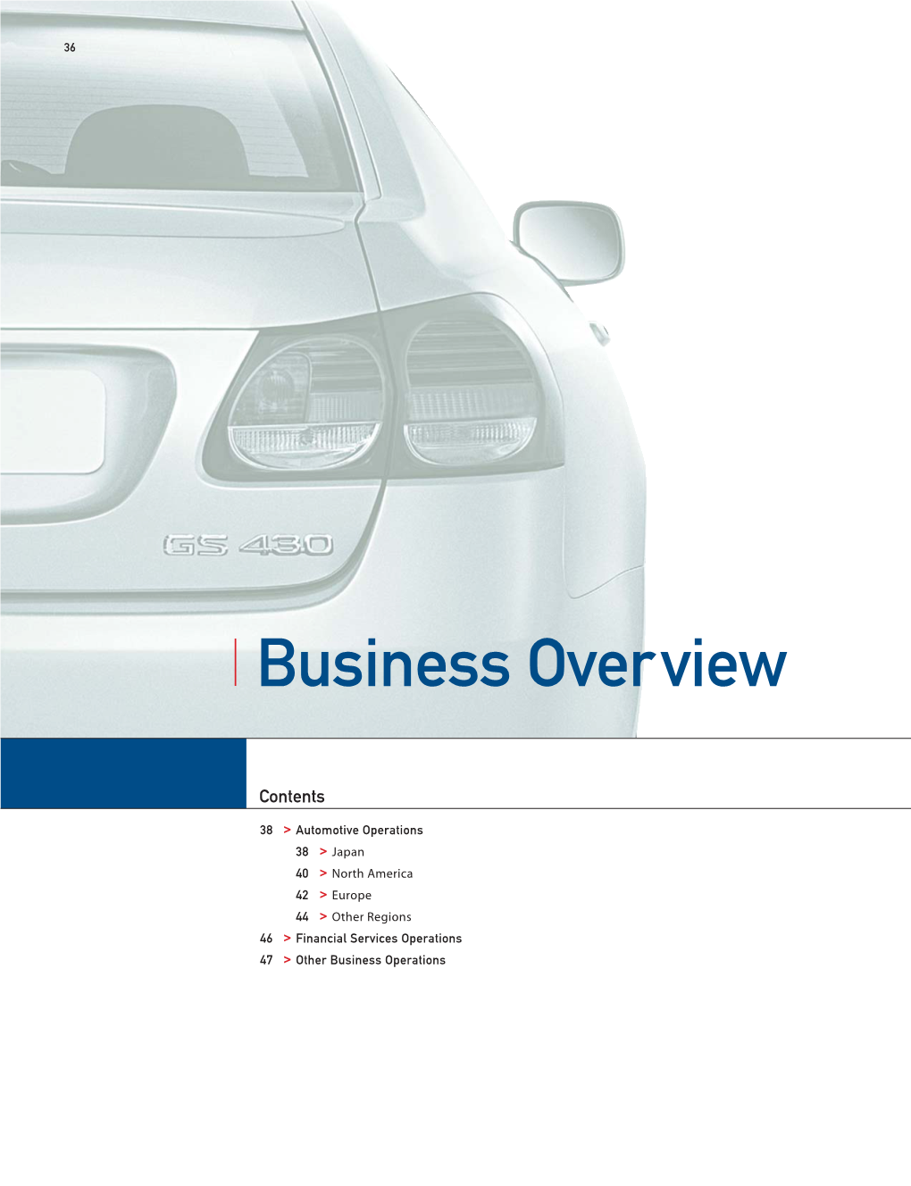 Business Overview