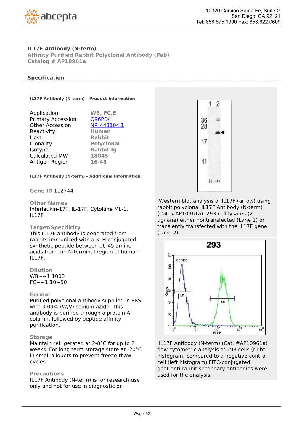 IL17F Antibody (N-Term) Affinity Purified Rabbit Polyclonal Antibody (Pab) Catalog # Ap10961a