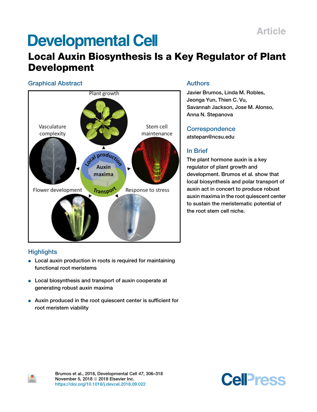 Local Auxin Biosynthesis Is a Key Regulator of Plant Development