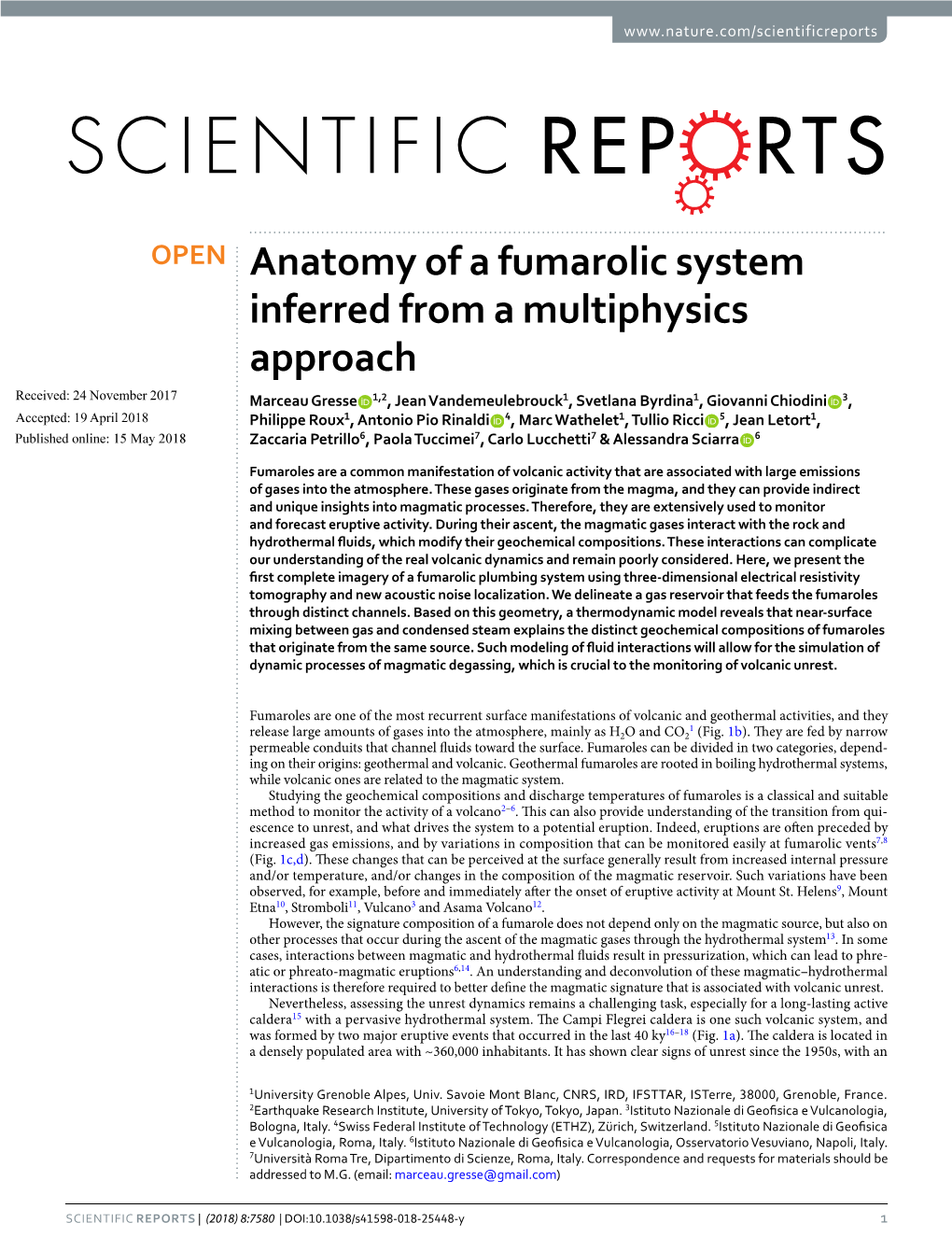 Anatomy of a Fumarolic System Inferred from a Multiphysics Approach