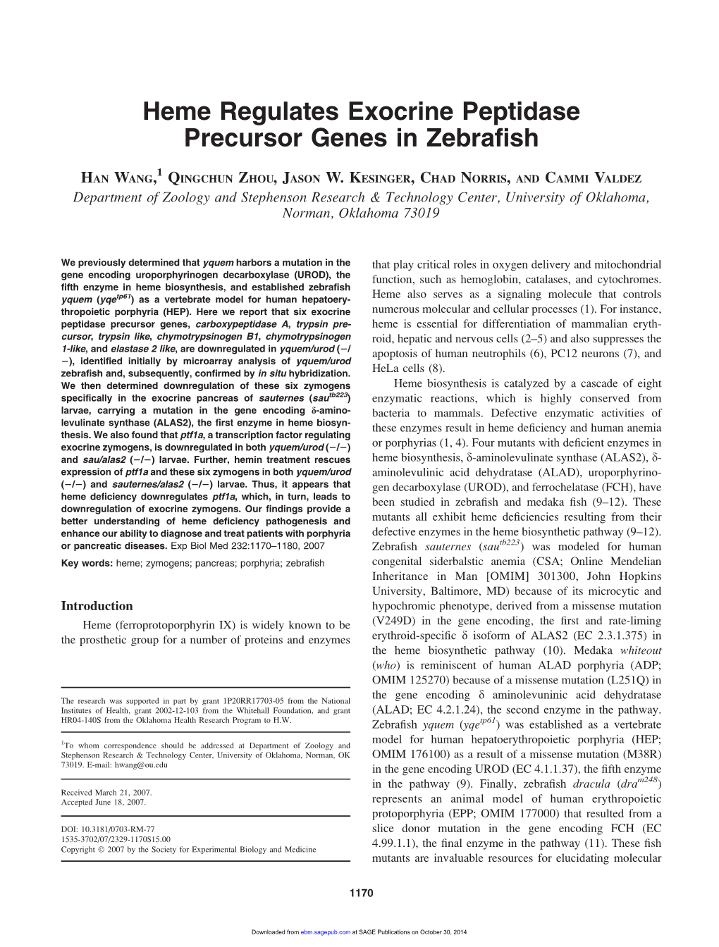Heme Regulates Exocrine Peptidase Precursor Genes in Zebrafish
