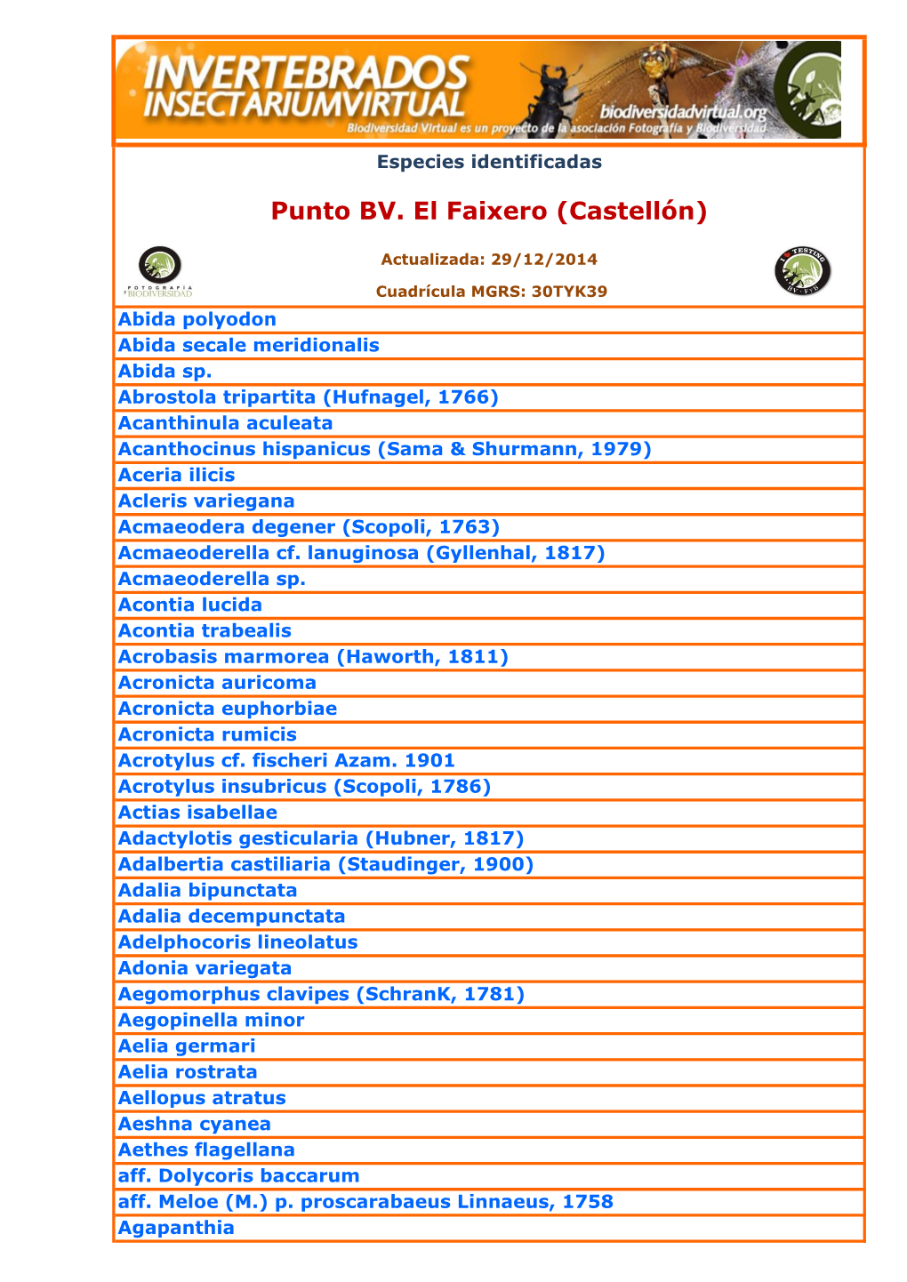 Punto BV. El Faixero (Castellón)