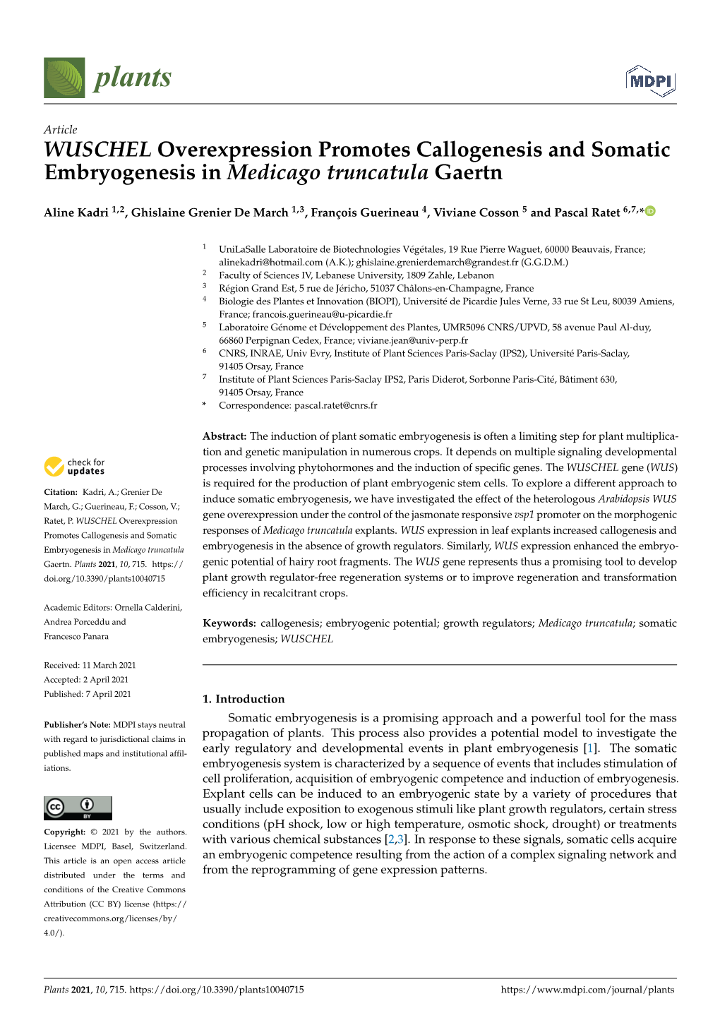 WUSCHEL Overexpression Promotes Callogenesis and Somatic Embryogenesis in Medicago Truncatula Gaertn