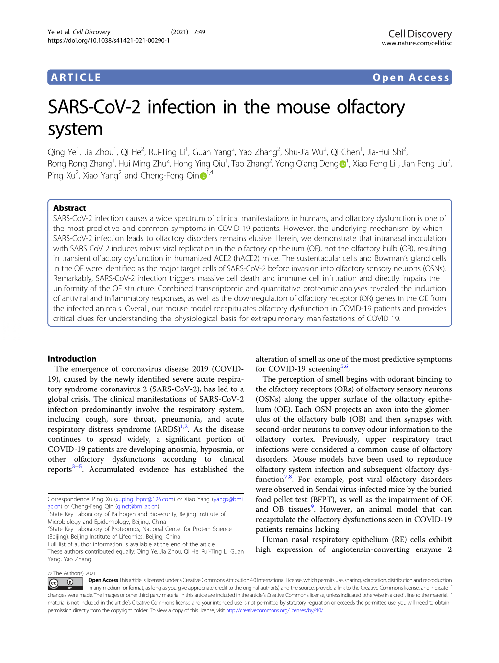 SARS-Cov-2 Infection in the Mouse Olfactory System