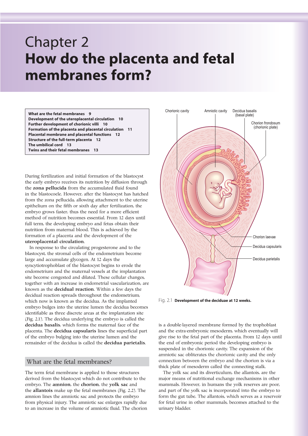 Chapter 2 How Do the Placenta and Fetal Membranes Form?