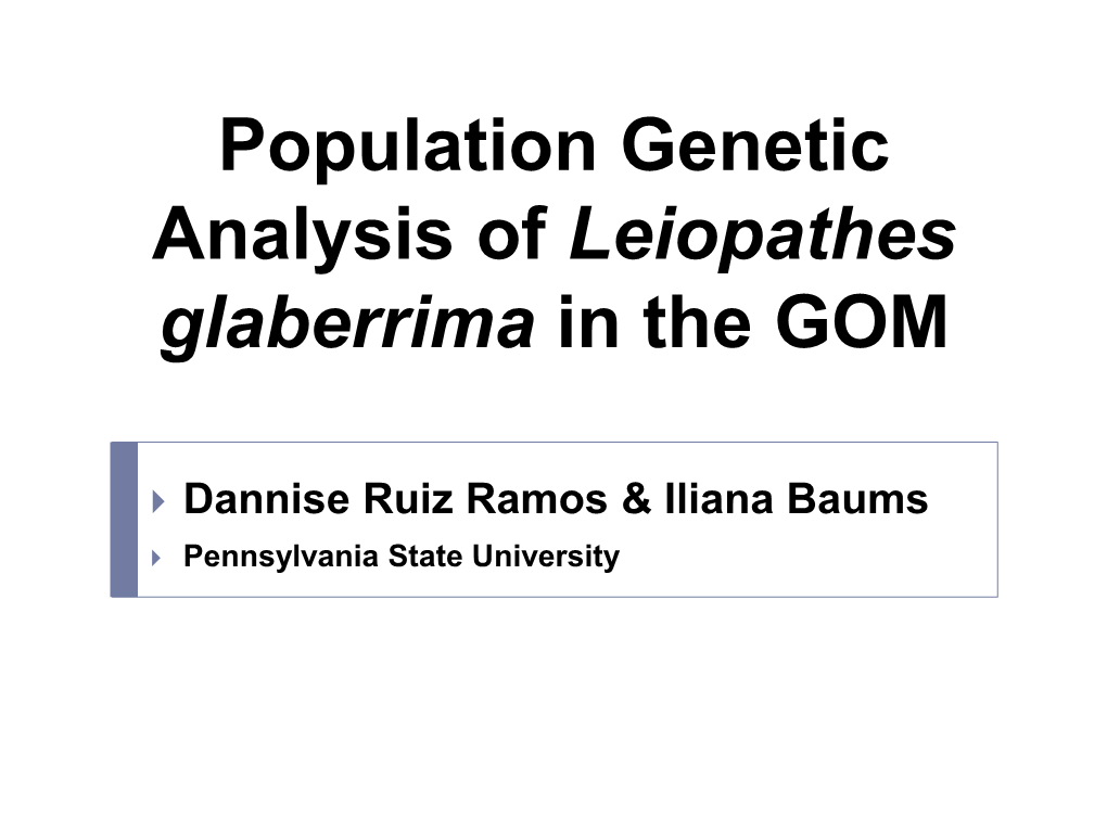 Population Genetic Analysis of Leiopathes Glaberrima in the GOM