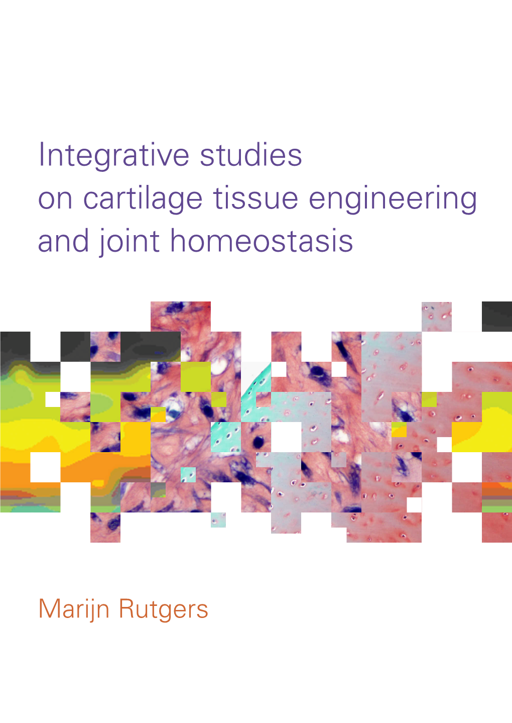 Integrative Studies on Cartilage Tissue Engineering and Joint Homeostasis Marijn Rutgers