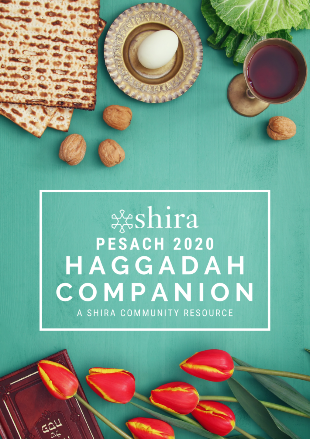 Haggadah Companion 2020