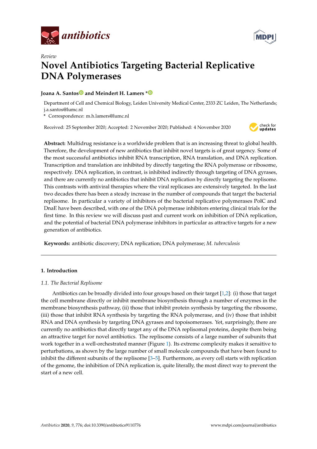 Novel Antibiotics Targeting Bacterial Replicative DNA Polymerases