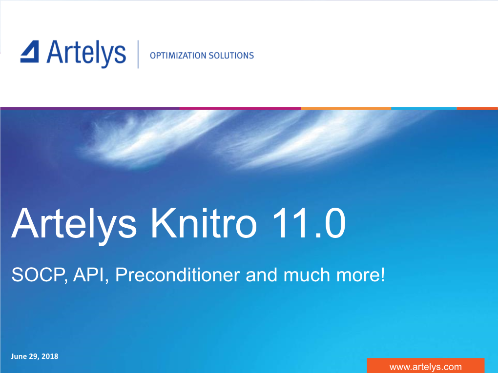 Artelys Knitro 11.0